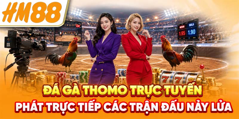Đá Gà Thomo Trực Tuyến - Phát Trực Tiếp Các Trận Đấu Nảy Lửa