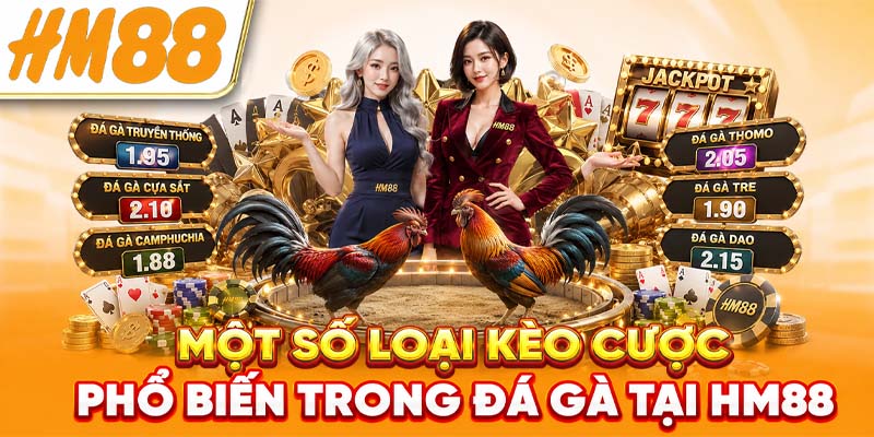 Một số loại kèo cược phổ biến trong đá gà tại HM88